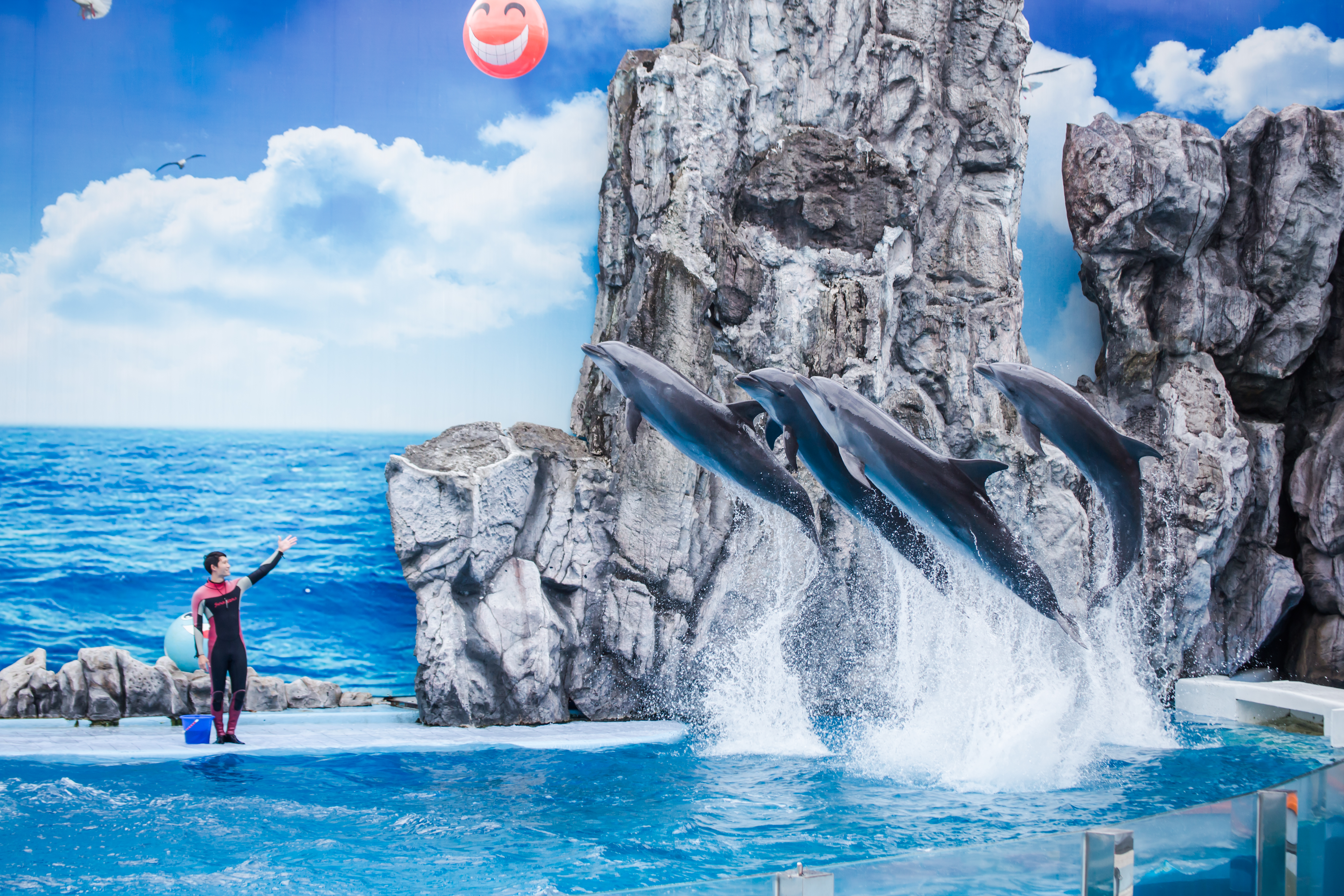 Dolphin leaping at Safari World Bangkok Marine Park show arena